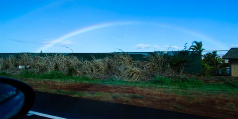 Ephemeral rainbow image