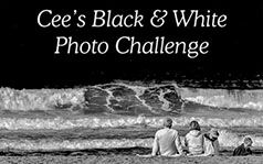 Cee-black-white-banner_small