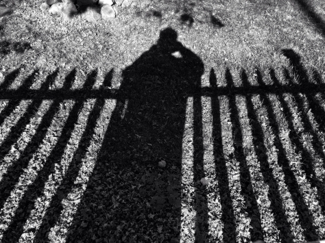 Shadow of fence with photographer photoboming it.