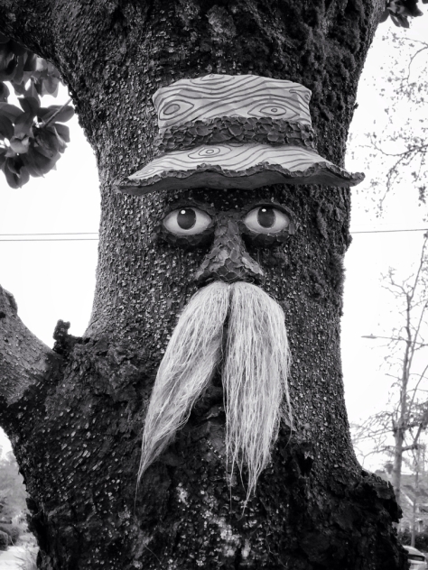 Face added to a tree.